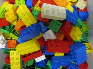 LEGO Duplo 60 Stück  Grundbausteine Starterpaket 20x 8er 2x4 + 40x4er  2x2 bunt - Bild 1 von 4