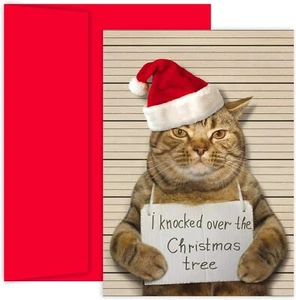 Bad Cat 18-Count Boxed Christmas Cards with Envelopes (915900) - Picture 1 of 2