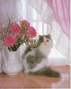 Never Framed 8 x 10 Wall Art Photo Print - Beautiful Persian Cat with Carnations - Picture 1 of 3