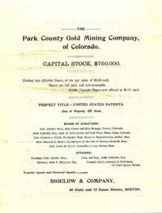 PARK COUNTY GOLD MINING CO 1895 COLORADO KAPITALSTOCK PROSPEKT ASSYRIEN HALL + - Bild 1 von 4