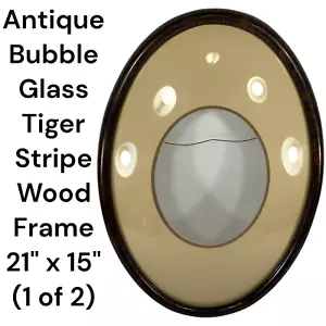 Antique Picture Frame Oval Bubble Glass Tiger Stripe Wood Convex Large 21" x 15" - Picture 1 of 24