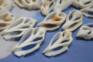 20-URCEUS,White Center Cut Seashells,Beach Wedding Decor,Floral Supply,CS-107 - Picture 1 of 15