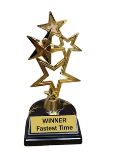 TROPHY FIGURE ON BASE SMALL AWARD CHAMP WINNER 1ST PLACE GAG MEMENTO PERSONALIZE - Picture 1 of 35