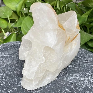 4.53LB Natural white crystal cluster mineral specimen hand-carved skull - Picture 1 of 11