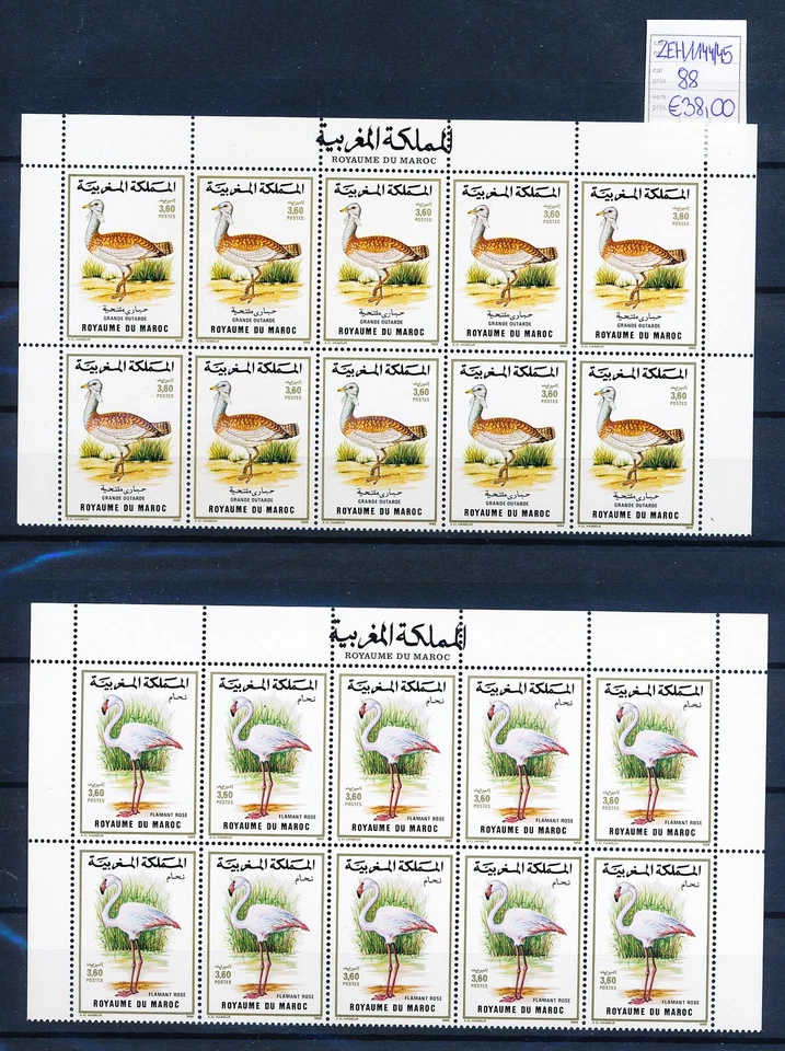 XE57218 Morocco 1988 cv 38 EUR animals fauna flora birds sheets XXL MNH - Image 1 of 1