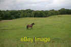 Photo 6x4 Field by the Leeds Liverpool canal Feniscowles/SD6425  c2007