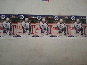 JUEGO PROFESIONAL DE TARJETAS DE HOCKEY BRIAN CURRAN Maple Leafs 1990-91 #277 - 5 en total - Imagen 1 de 2