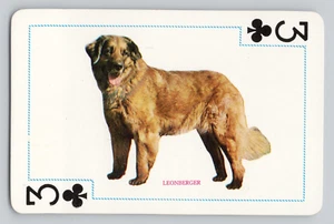 Tarjeta de juego vintage única de Hong Kong LEONBERGER Famous Dogs of the World - Imagen 1 de 3