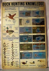 M400 Duck Hunting Knowledge Metal Sign 8x12 Tin Man Cave Duck Identification - Picture 1 of 4
