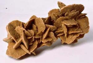 DESERT ROSE GYPSUM. WOOLCUNDA, AUSTRALIA P2020 - Imagen 1 de 6