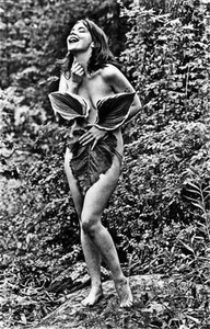 380359 Bjork Leaves WALL PRINT POSTER US - Picture 1 of 7