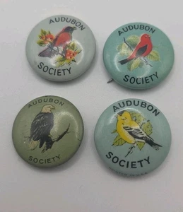 Lote de 4 prendedores vintage Audubon Society Bird - Imagen 1 de 8