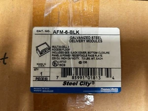 THOMAS BETTS LIEFERMODULE AUS VERZINKTEM STAHL # AFM-6-BLK - Bild 1 von 2