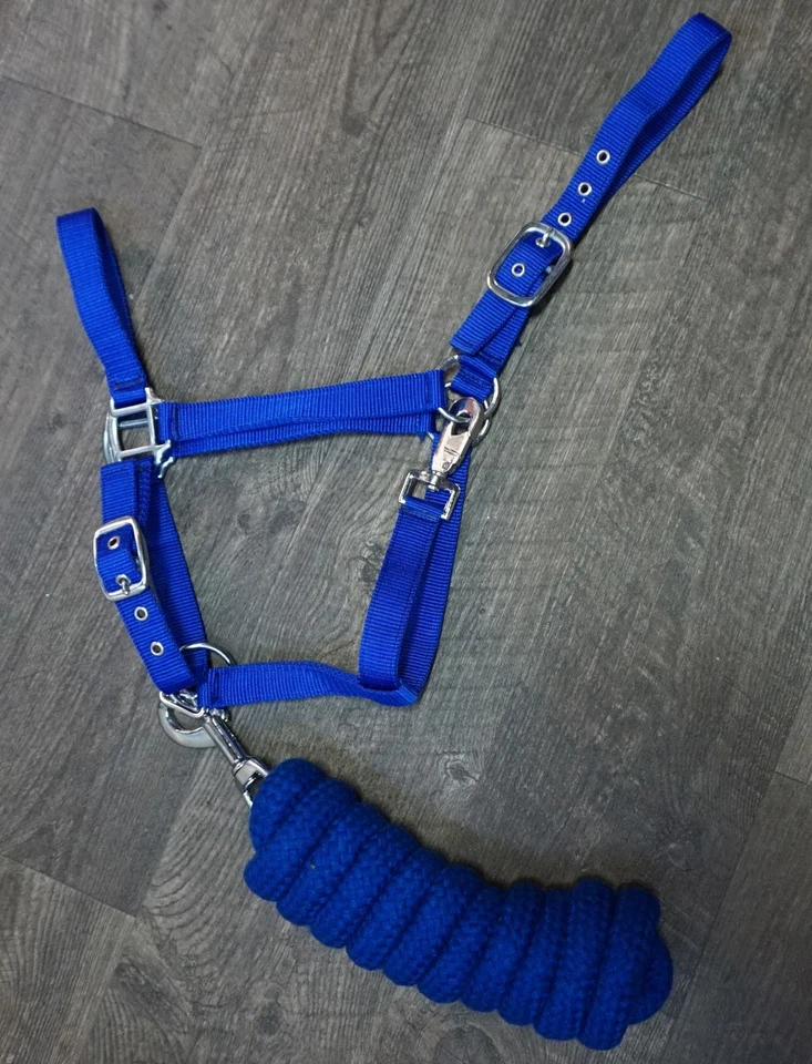 Halter de nailon Showman Full Horse tamaño 2 capas con cuerda de plomo de algodón trenzado de 7 pies Foto 1 de 1