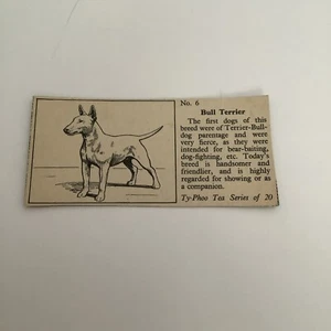 1955 Typhoo Tea Popular Breeds Of Dogs - #6 Bull Terrier UU - Picture 1 of 1
