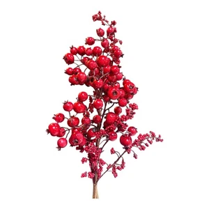 Blumen - Roter Granatapfel & Beeren Cluster - Bild 1 von 2