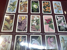 BROOKE BOND CANADIAN TEA CARDS PROOFS? WILD FLOWERS OF NORTH AMERICA WHITE BACK