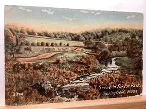 Escena en Forest Park: Springfield, MA - Postal de colección - Imagen 1 de 3