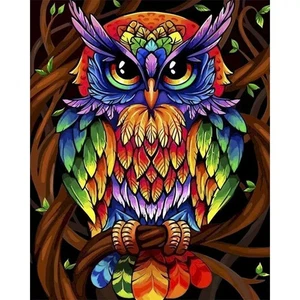 Paint By Numbers Adults kids Colorful Owl DIY Painting Kit 40x50CM Canvas - Picture 1 of 10