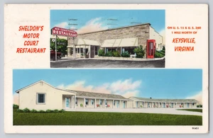 Sheldon’s Motor Court Keysville VA 1962 Postcard Restaurant Sign - Picture 1 of 3