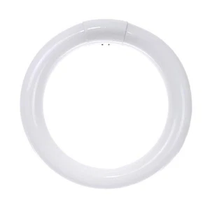 SUNLITE FC8T9/DL 22w 6500k Daylight Circline Fluorescent Light Bulb - Picture 1 of 4