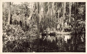 Anclote River Tarpon Springs Florida RPPC - Picture 1 of 2