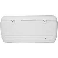 igloo maxcold 248 can