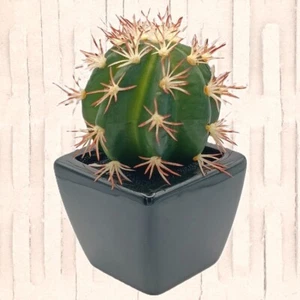 Kunstpflanze Kaktus (Melocactus) / täuschend echt / NEU! - Bild 1 von 3