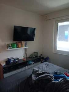 wohnung zur vermiten 2 zimmer - Bild 1 von 9