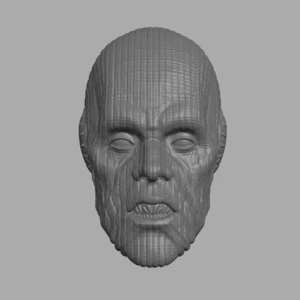 Star Wars Sith Grand Inquisitor Pau'an v2 Custom Kopf für Actionfiguren - Bild 1 von 1