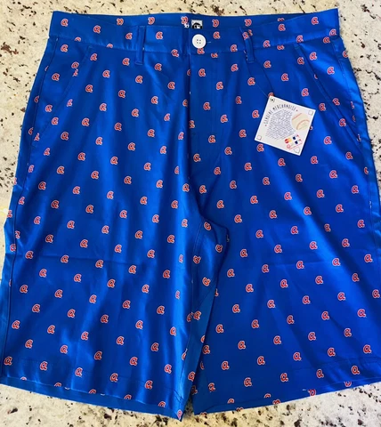 Pro Standard Atlanta Braves Cooperstown Retro Logo Shorts Size 32 Small NWT $49 Cover