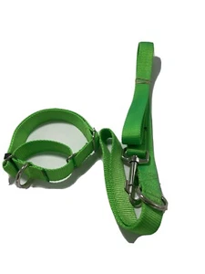 Training Martingale Style Dog Collar Metal Buckle Large With Leash Lime Green - Picture 1 of 3