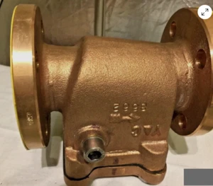Valvola di ritegno Young & Cunningham ep 305 din 3443 forma a dn 32 heavy duty indus - Foto 1 di 4