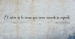 Vinilo decorativo #5016# EL AMOR ES LO UNICO QUE CRECE Antoine de Saint Exupery - Imagen 1 de 2