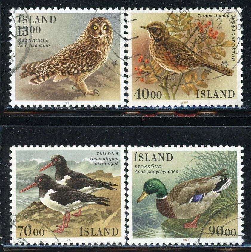 ISLANDIA 642-45 SG697-700 Usado 1987 Pájaros Juego de 4 CV$4 Foto 1 de 1
