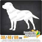 Labrador Dog Retriever chf0729 chf w 3 rozmiarach naklejka na tylną szybę JDM