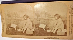Tarjeta fotográfica STEREOVIEW TAKE A POON PIGGY GIRL & PIGLET Strohmeyer Wyman c.1891 - Imagen 1 de 2
