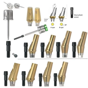 Hiossen Conical Connection ET System RP 17° Angled Anatomic Transfer Abutment - Picture 1 of 47