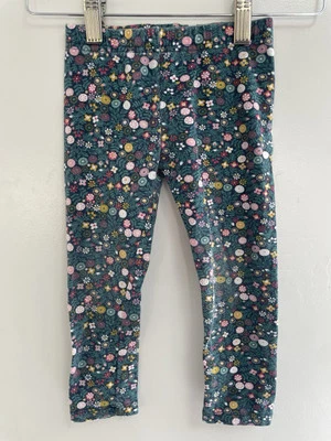 Koala Kids Toddler Girl Allover Floral Cotton Full Length Leggings Dark Green 2T - Image 1 of 4