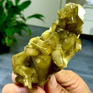 258G Shiny Golden Cuboid Barite Crystal Based on the Purple Spherical Fluorite - Picture 1 of 23