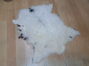 Lamb Skin, Sheepskin Rug, Wall Art, Table Decor, Curly Lamb Skin, 1.8 x 2.4 ft - Picture 1 of 19