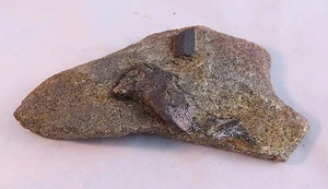STAUROLITE !! MUST SEE! 158 gr (21,17) - Picture 1 of 4