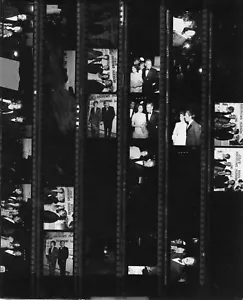 Kontakt Foto Blatt Negativ JULIE ANDREWS DARLING LILI PREMIERE ROCK HUDSON ALI - Bild 1 von 1