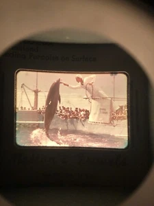 Baja Barnett & Jaffe 100 Count 35mm Slide Case w 182 Red Border Slides 1950s - Picture 1 of 21
