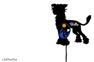 Perro con cresta chino - nombre personalizado perro soporte para correa - gancho de pared - Imagen 1 de 3