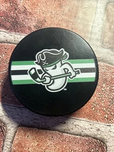ECHL Savannah Ghost Pirates Hockey Puck Souvenir - Picture 1 of 4