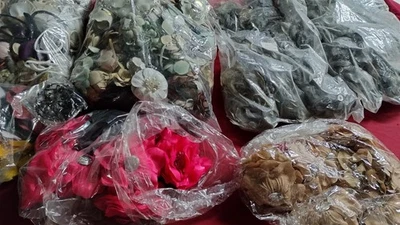 HUGE LOT OF LARGE FLORAL BROOCHES/HAIR GOODS - Image 1 of 4