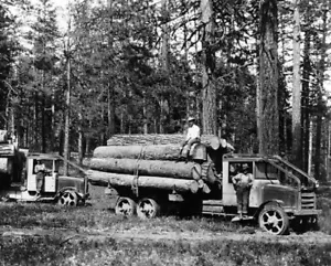 Camiones madereros Moreland 1927 Washington State Trucking 8"x 10" foto 87 - Imagen 1 de 1