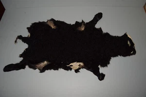 Persianerfell Persianer Lammfell Schafsfell Fell schwarz natur 64 x 29 cm (3) - Picture 1 of 3