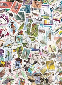 Y1018B - Verzameling/Collection/Sammlung - 100 diff. - Vogels / Birds/ Vögel - Picture 1 of 1